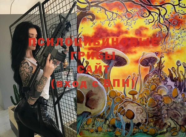дурь Дмитров
