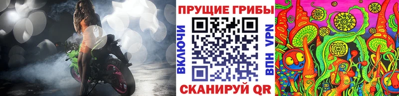 Псилоцибиновые грибы прущие грибы  Купить  Кадников 
